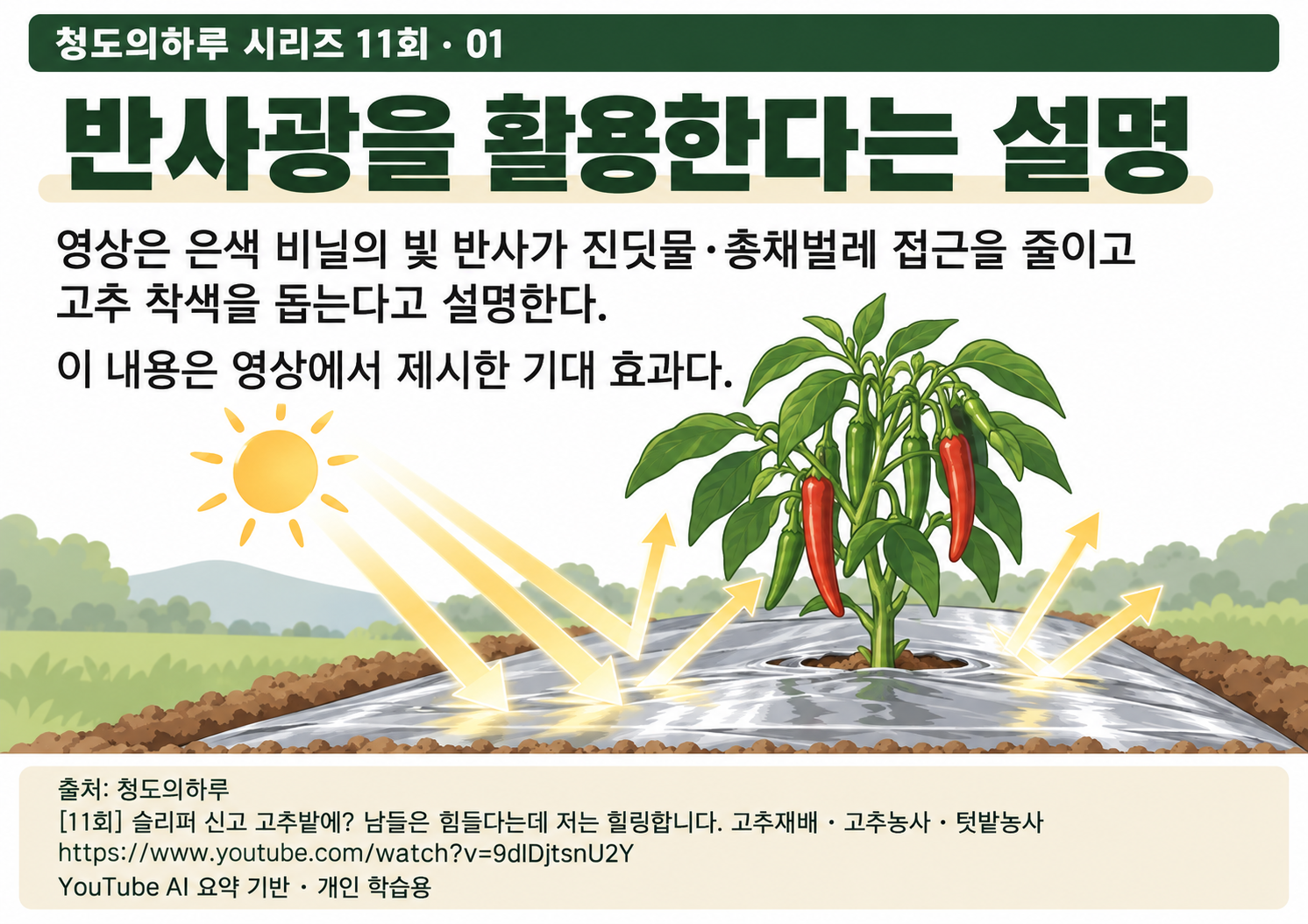 01_본문01.png