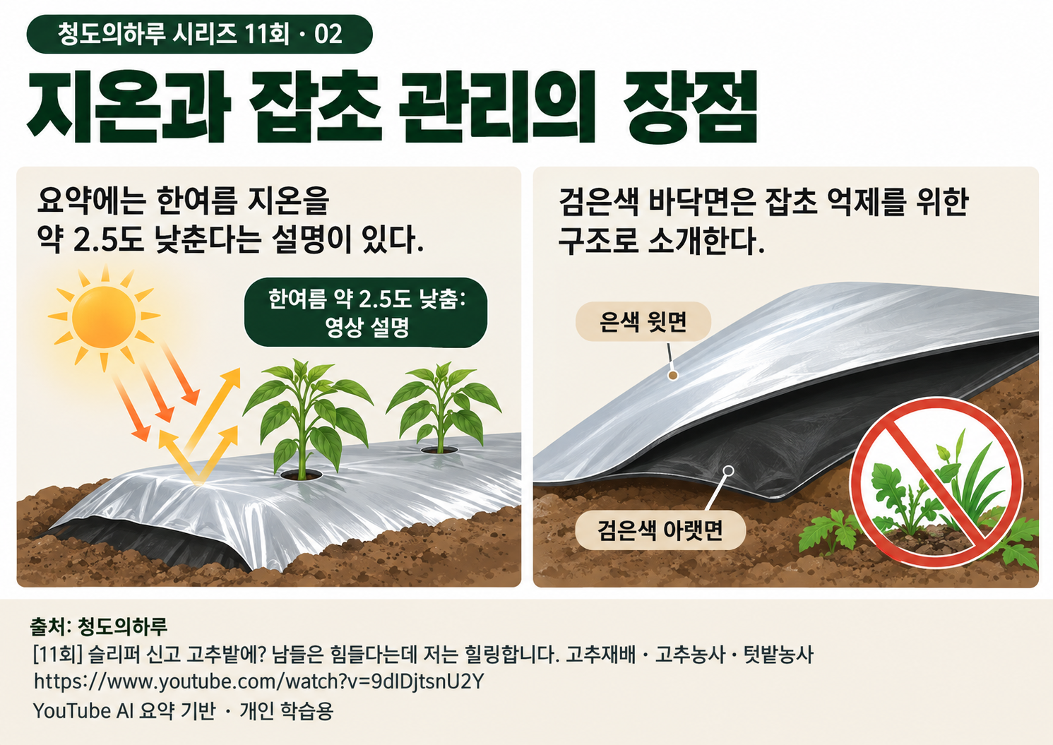 02_본문02.png