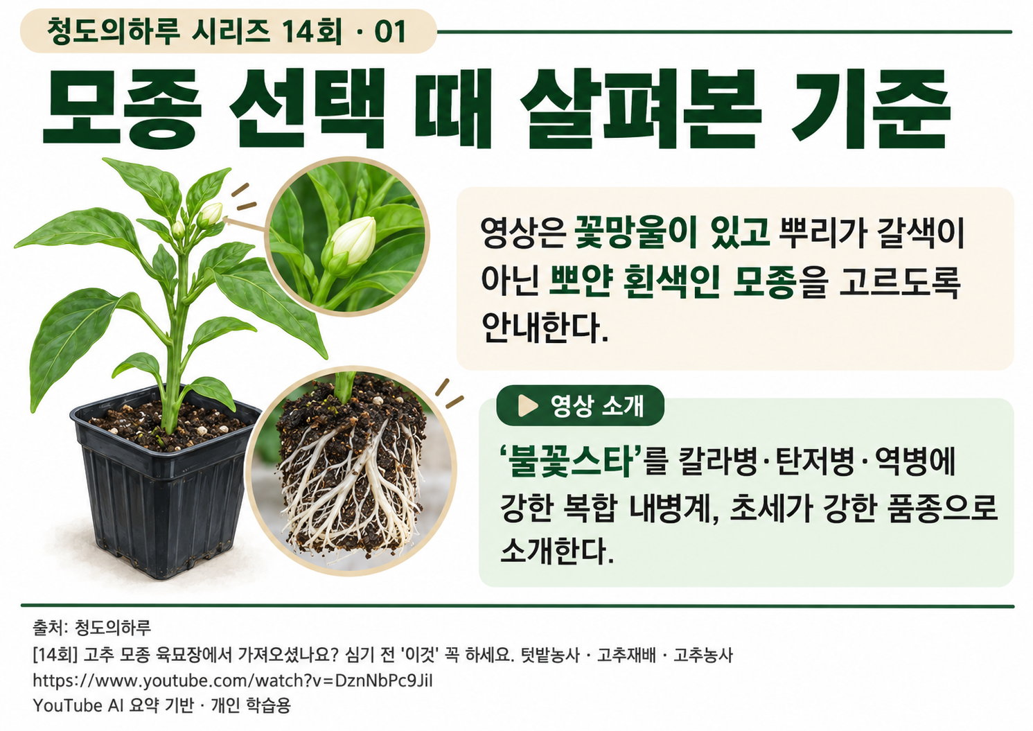 01_본문01.png
