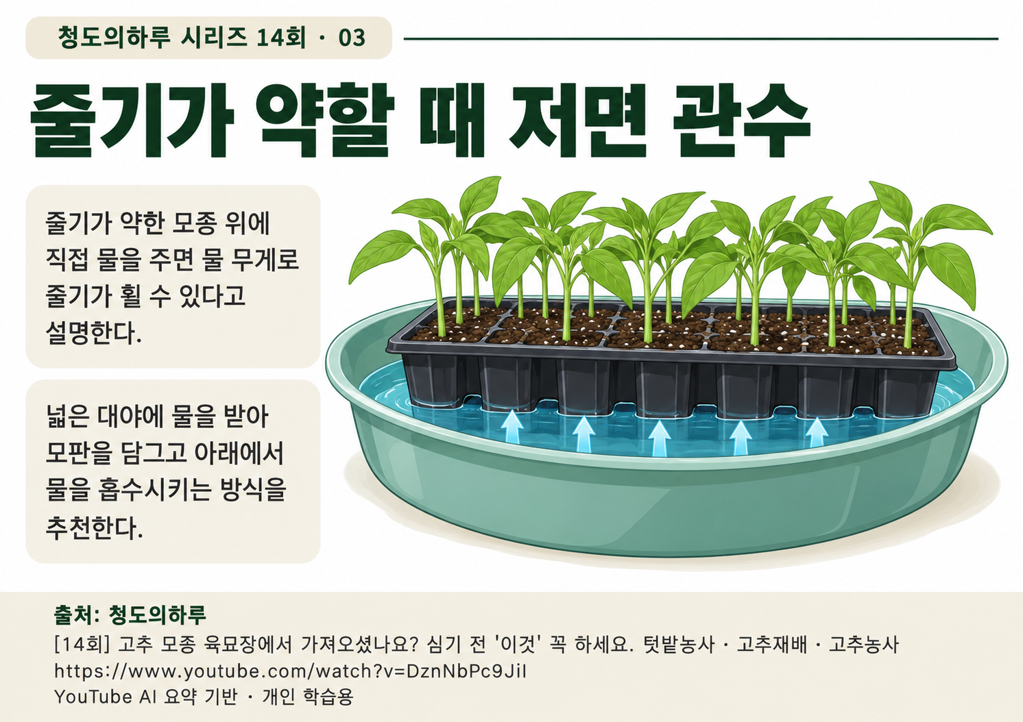 03_본문03.png