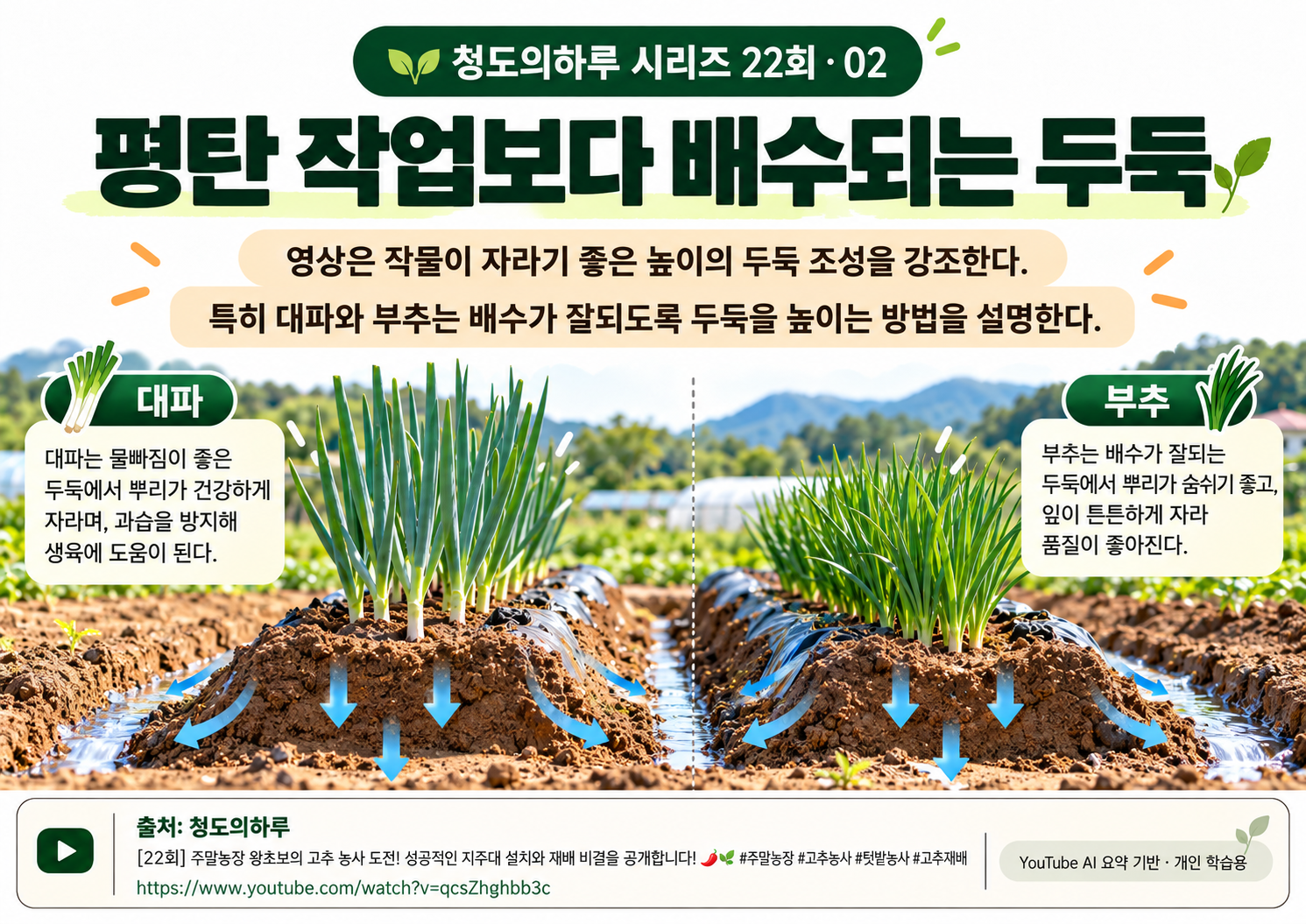 02_본문01.png