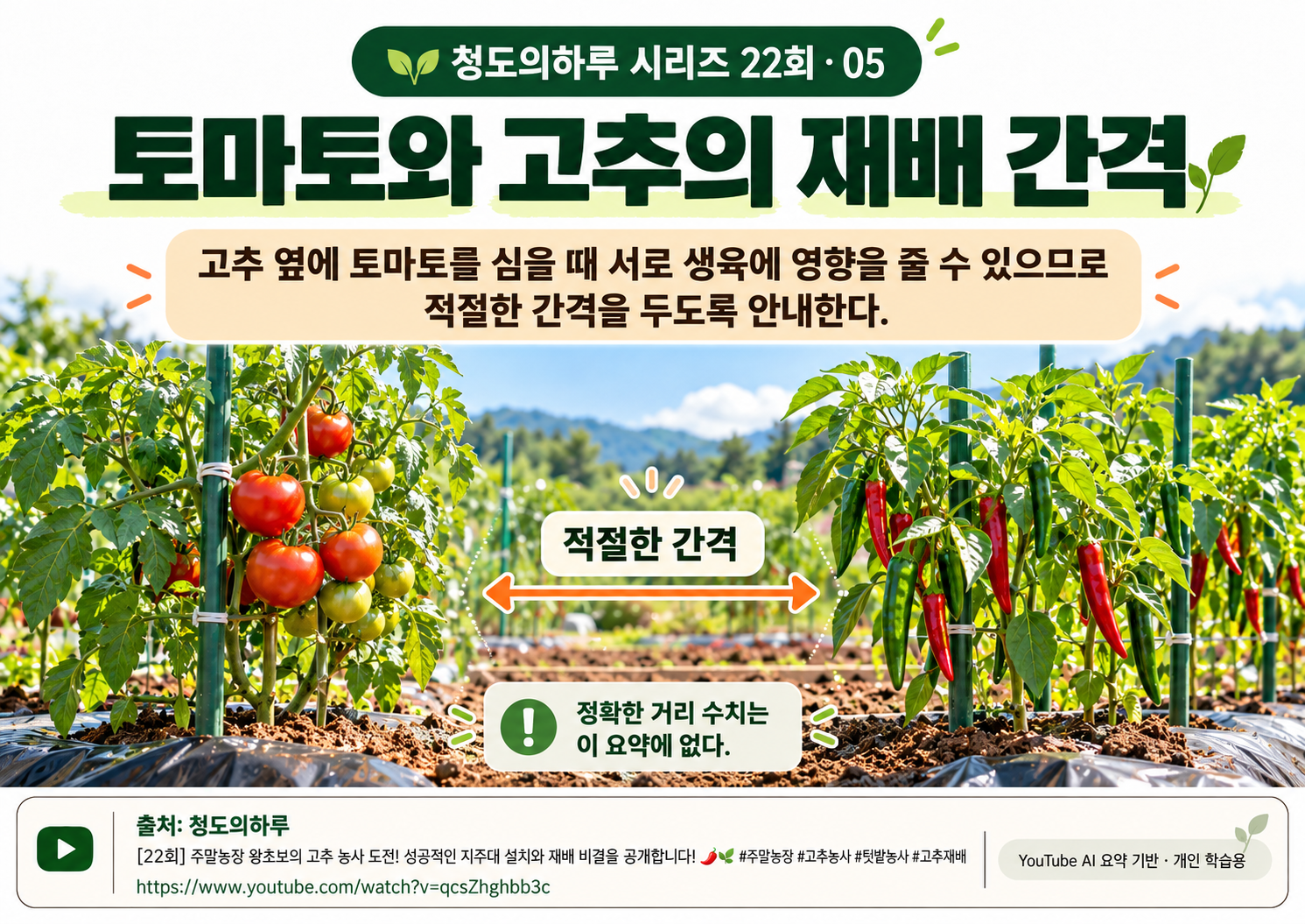 05_본문04.png