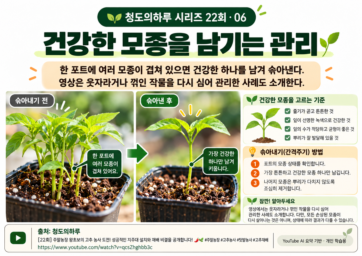 06_본문05.png