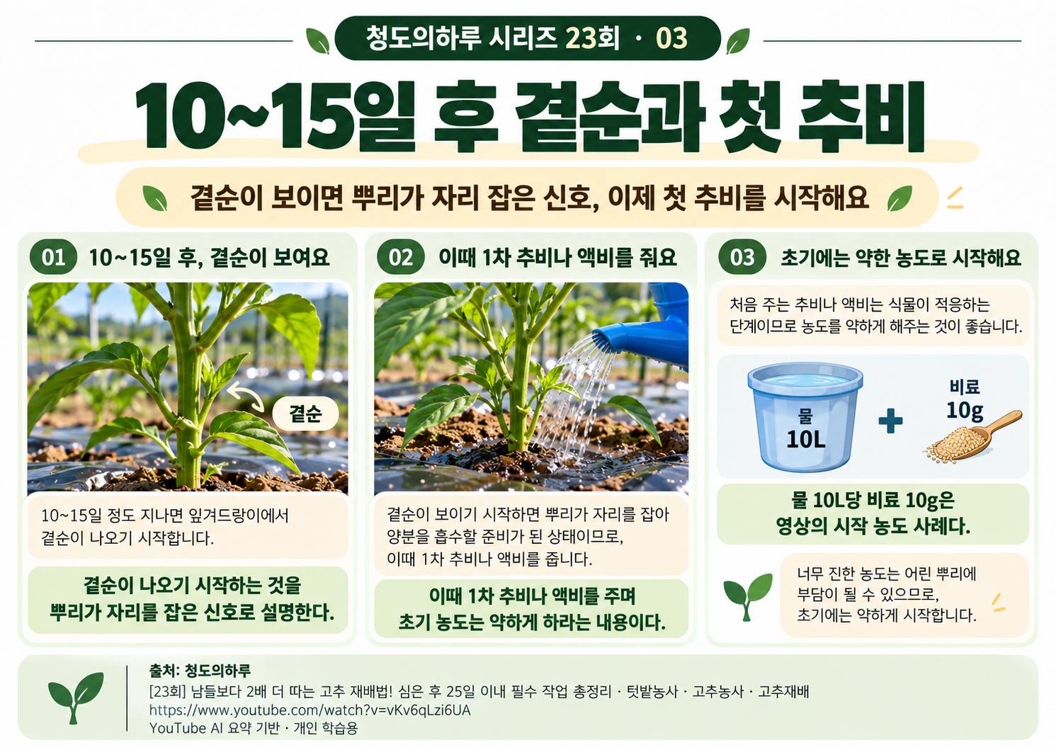 06_전체요약.png