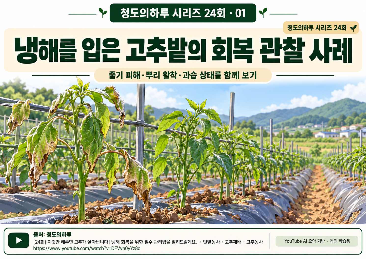 01_표지.png