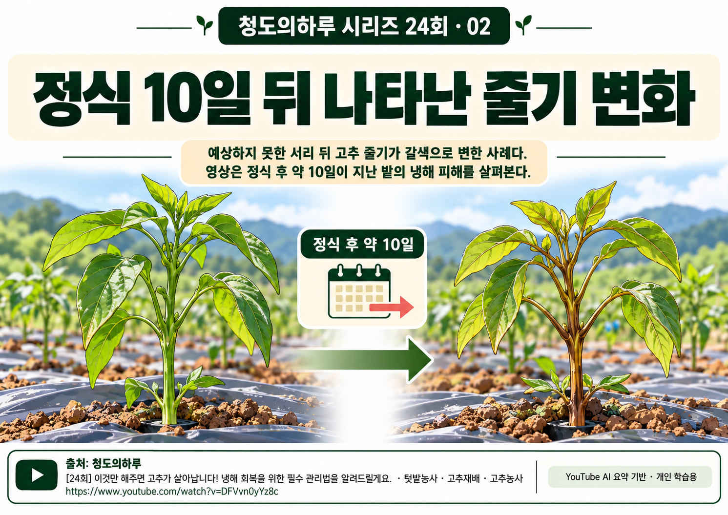 02_본문01.png