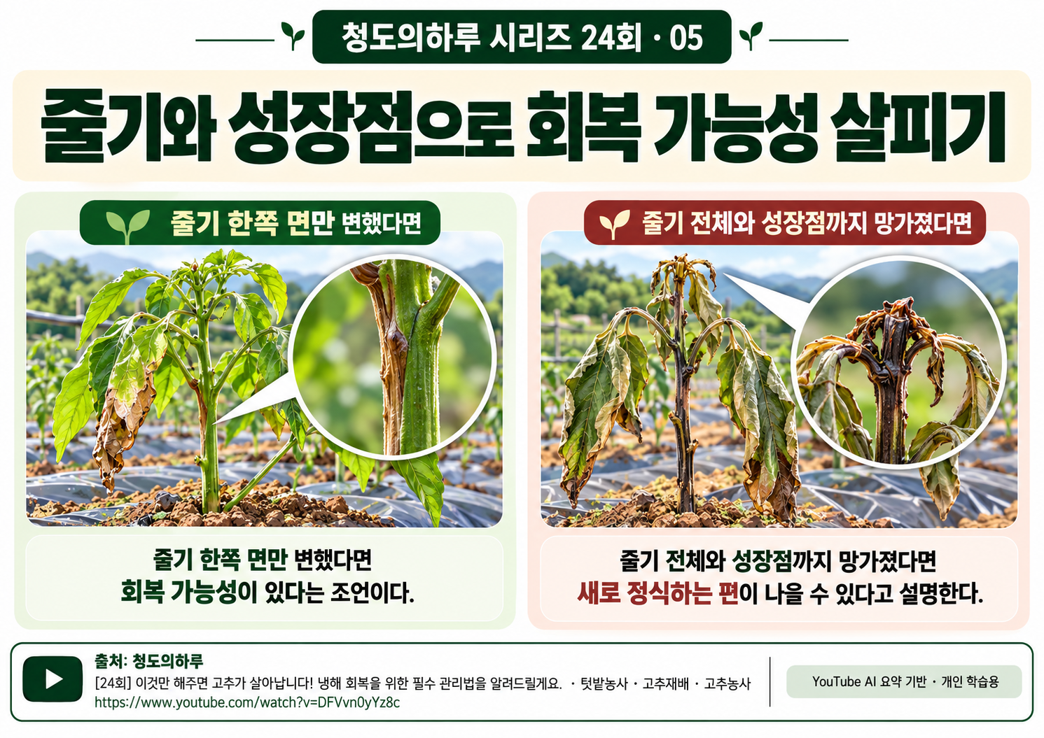 05_본문04.png