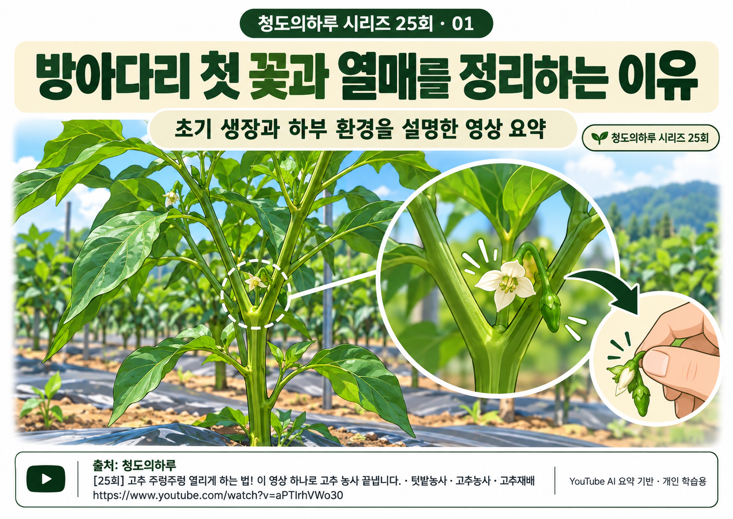 01_표지.png