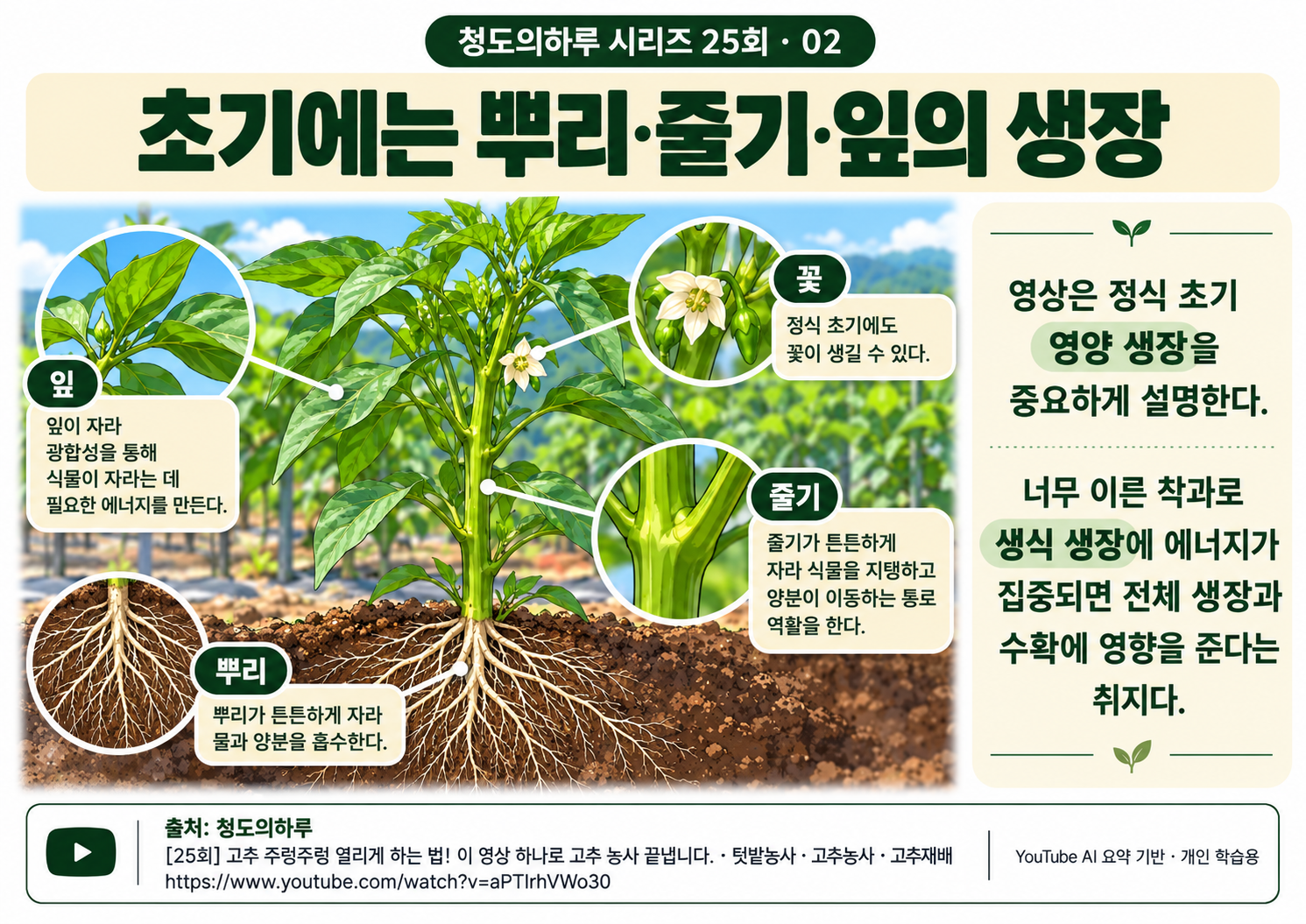 02_본문01.png