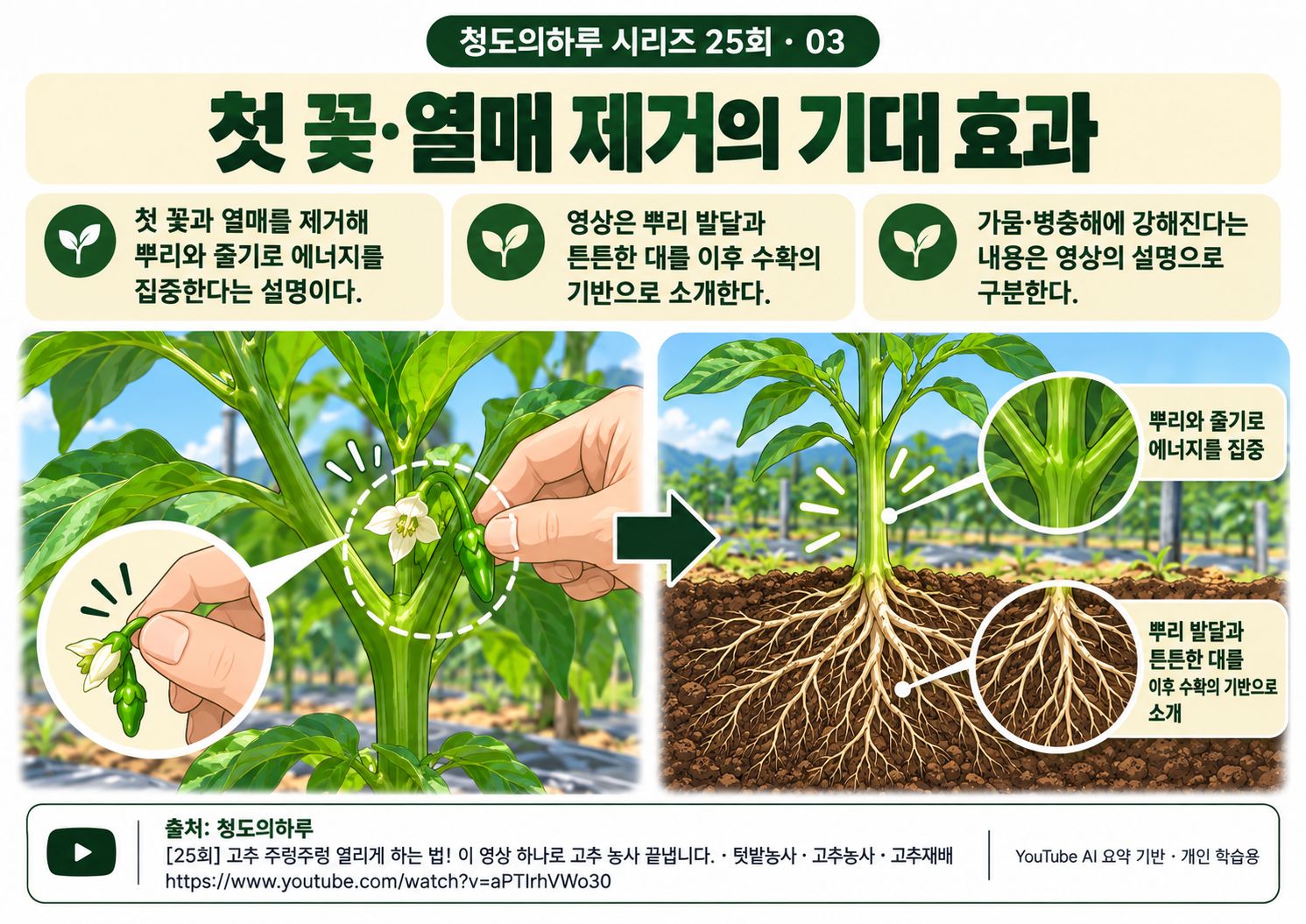 03_본문02.png
