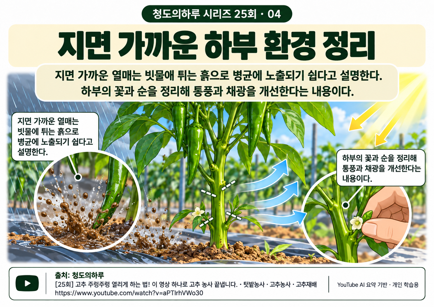 04_본문03.png