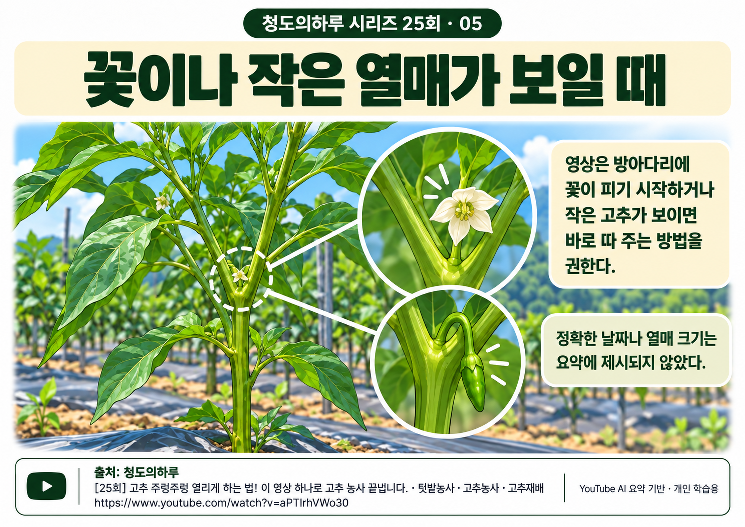 05_본문04.png