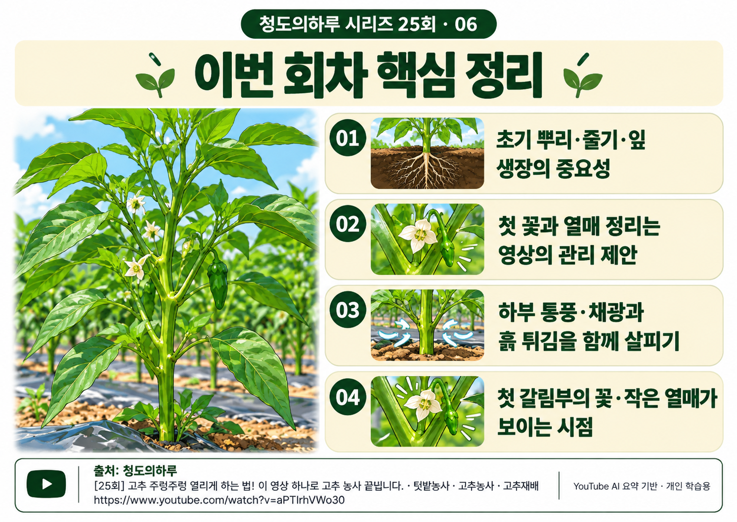 06_전체요약.png
