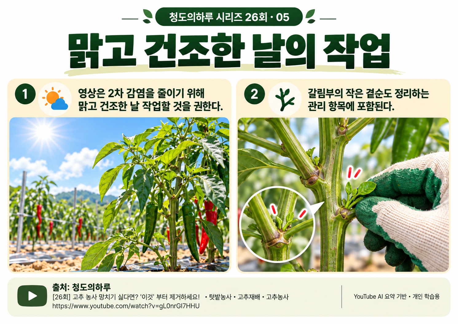 04_본문03.png