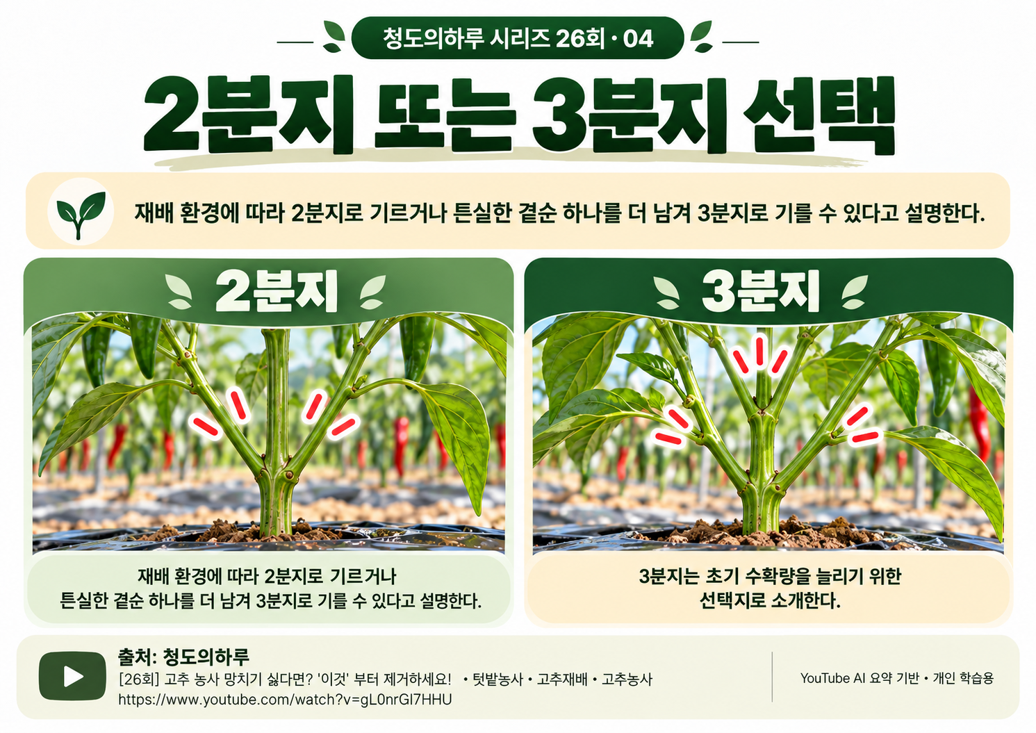 05_본문04.png