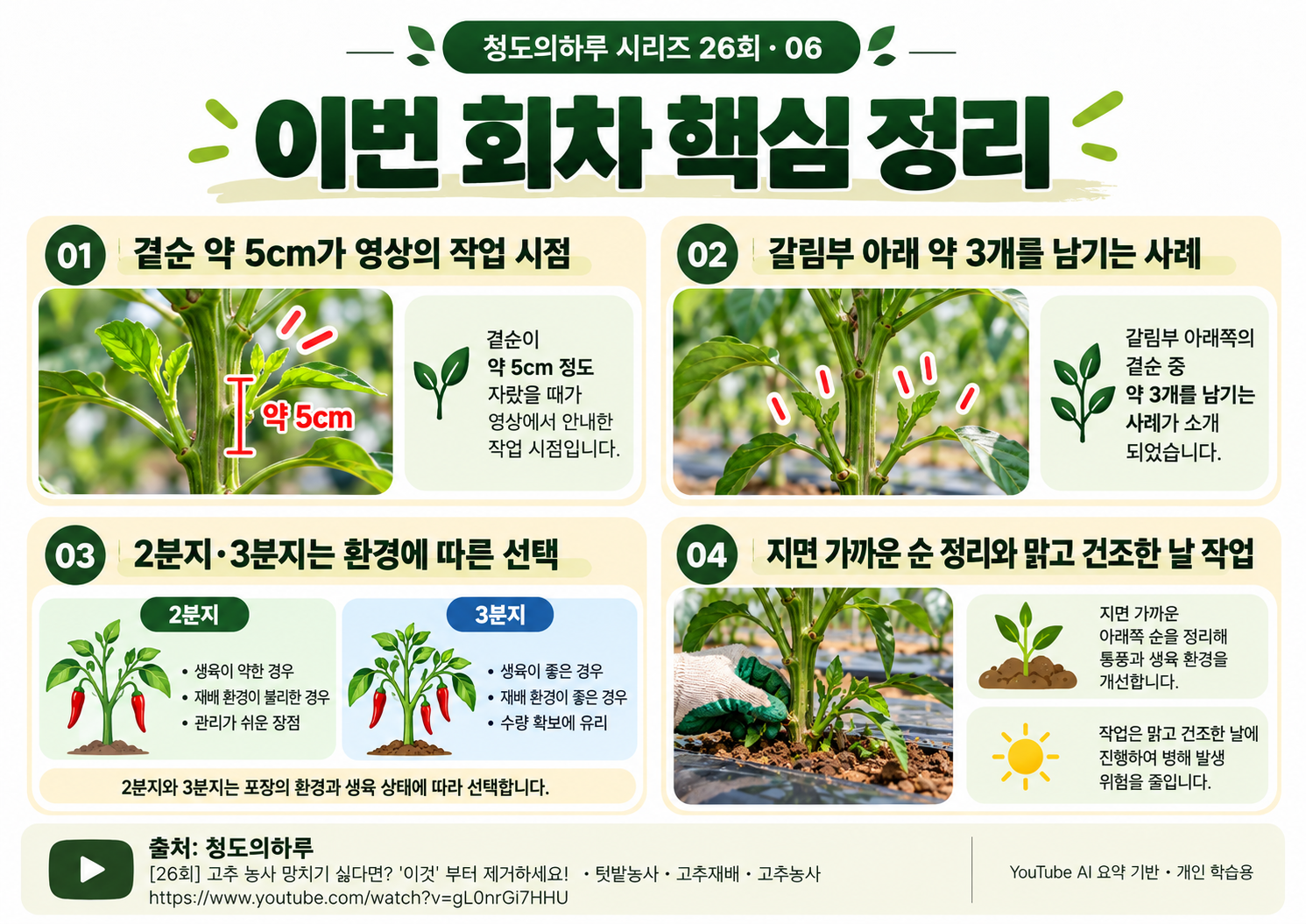 06_전체요약.png