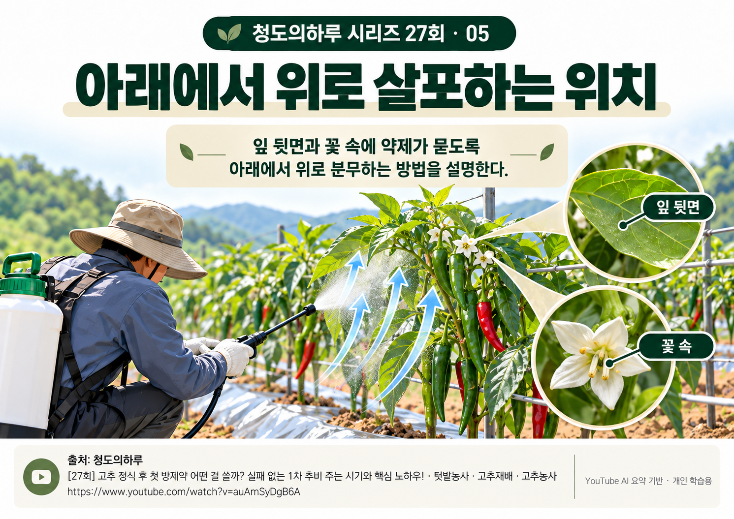 05_본문04.png