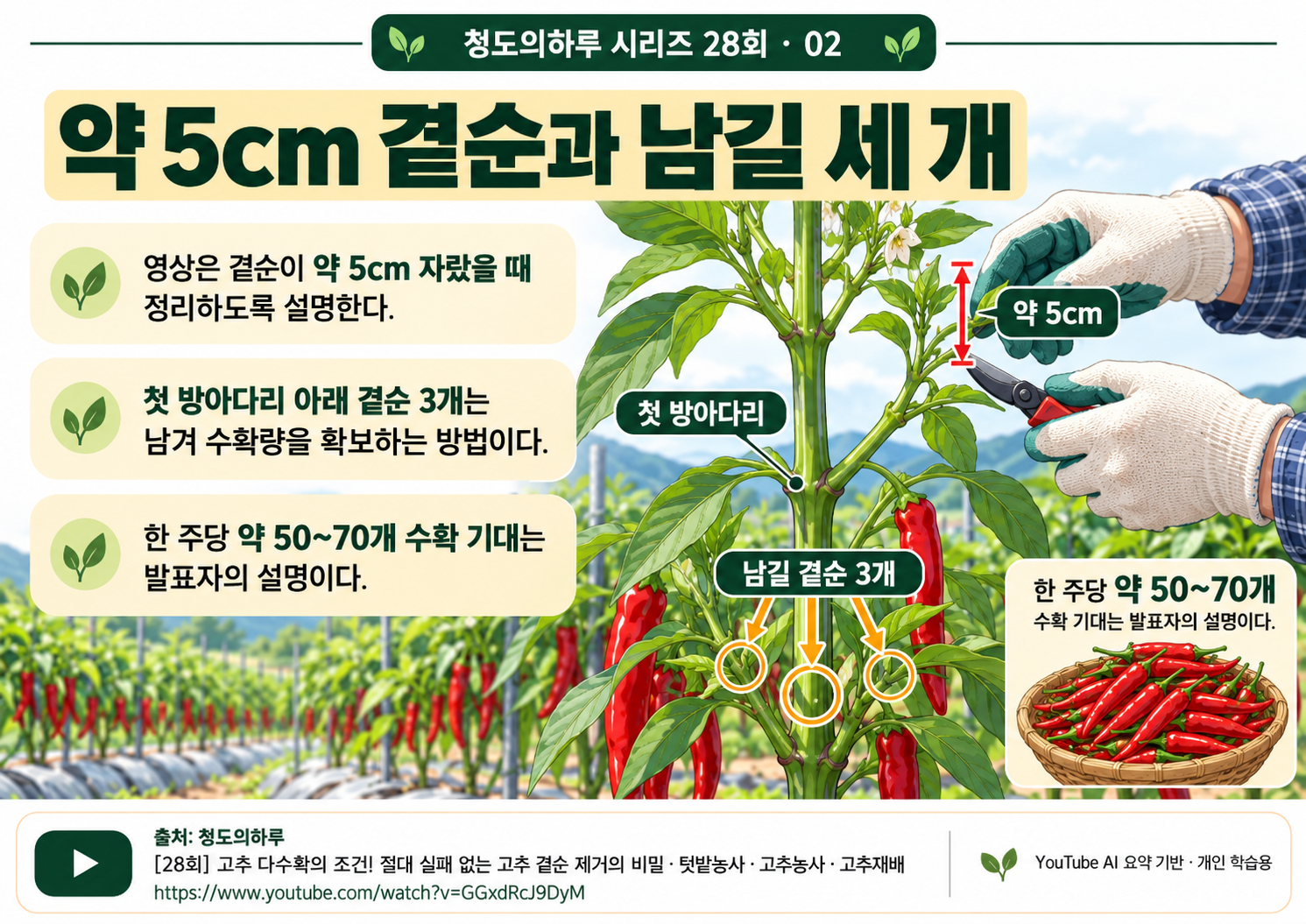02_본문01.png