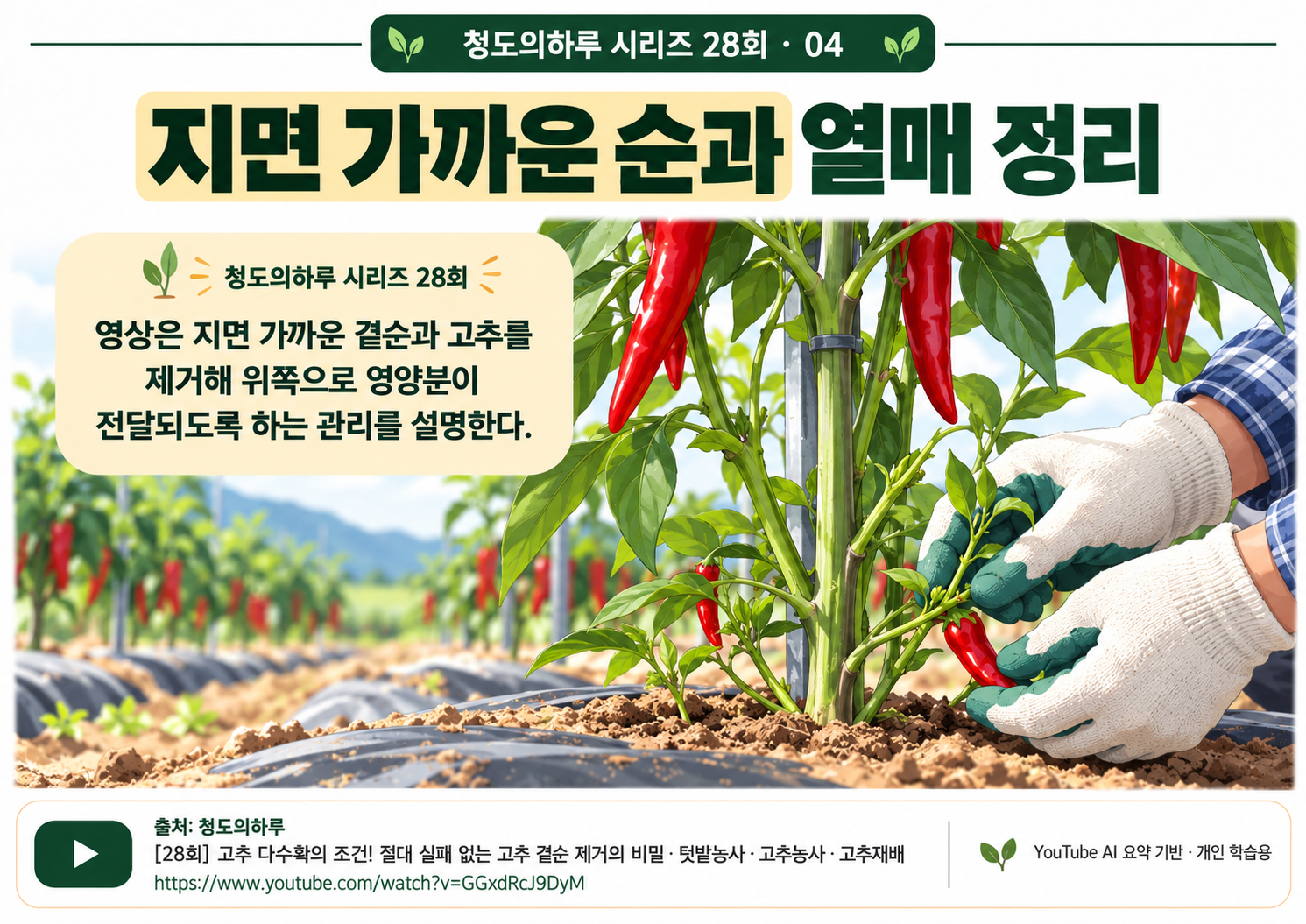 04_본문03.png