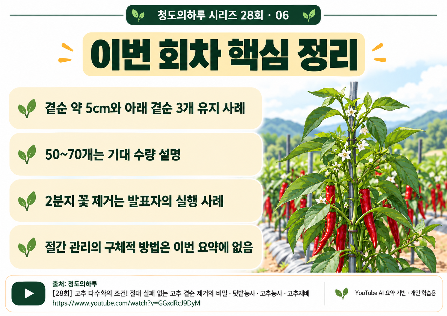 06_전체요약.png