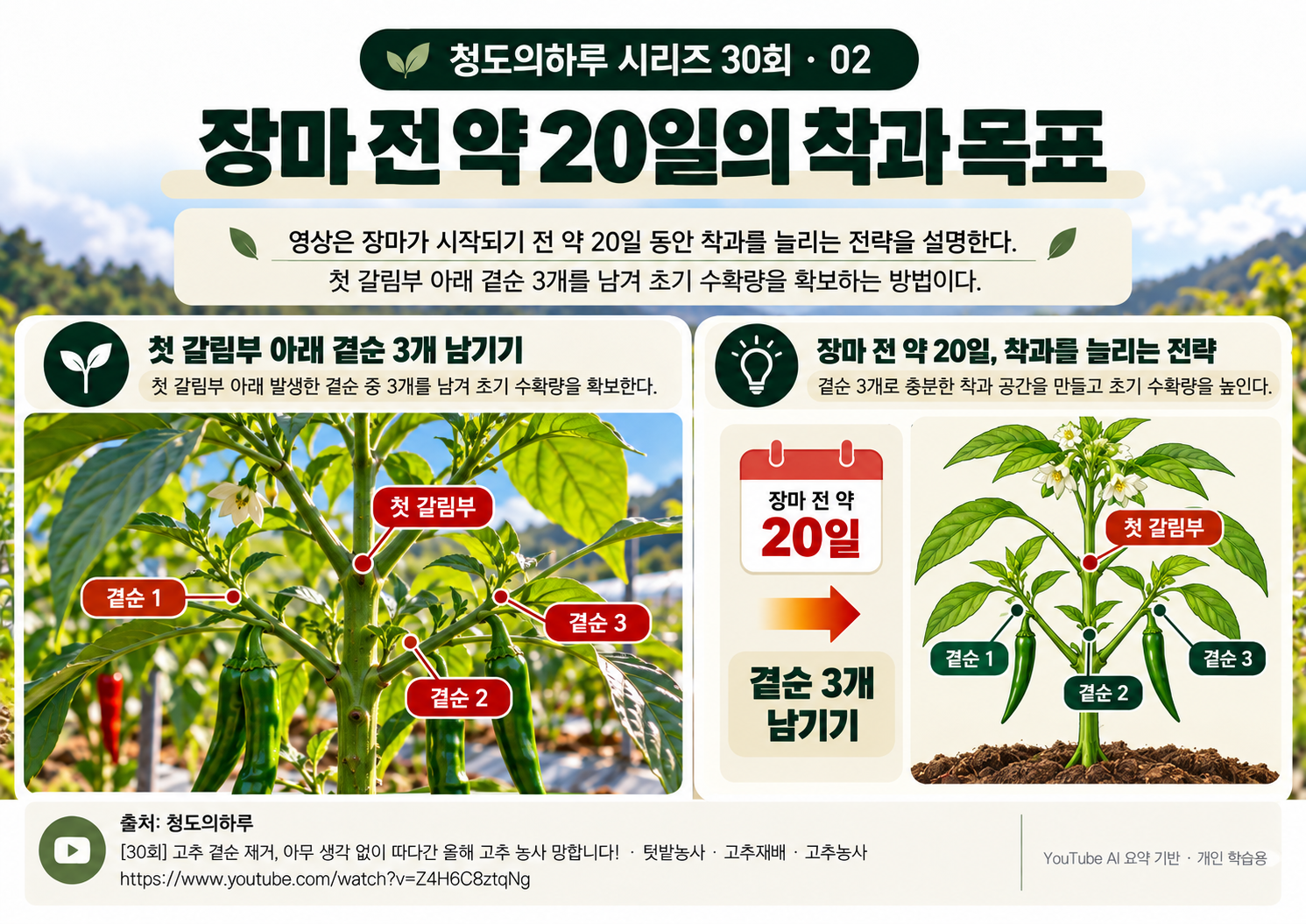 02_본문01.png