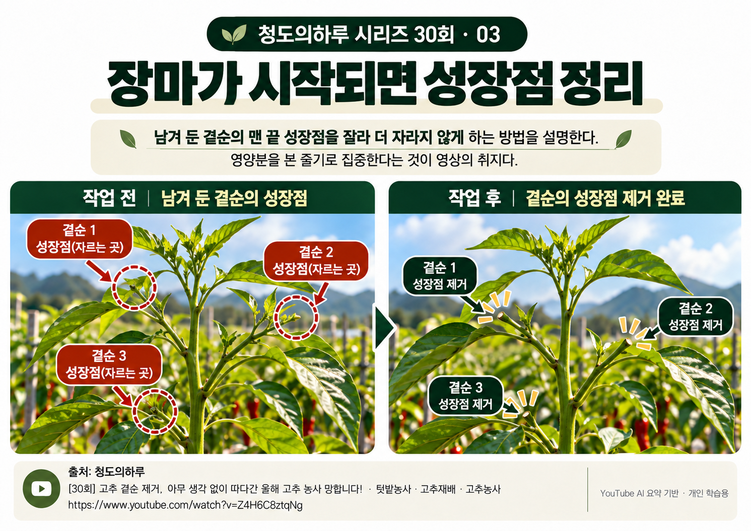 03_본문02.png