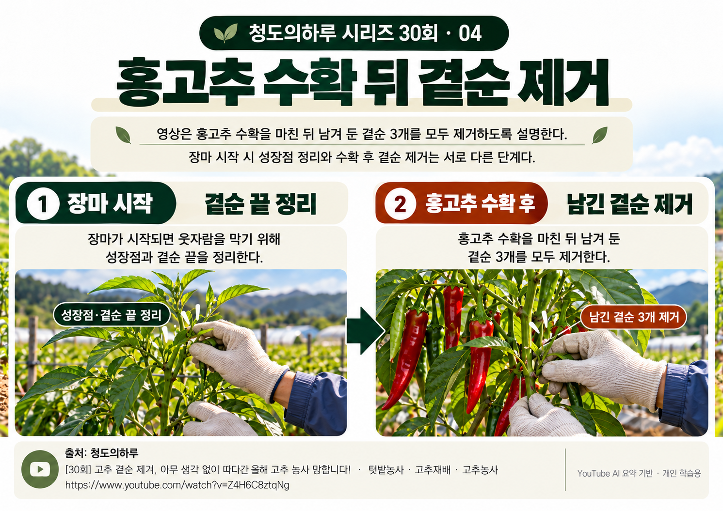 04_본문03.png
