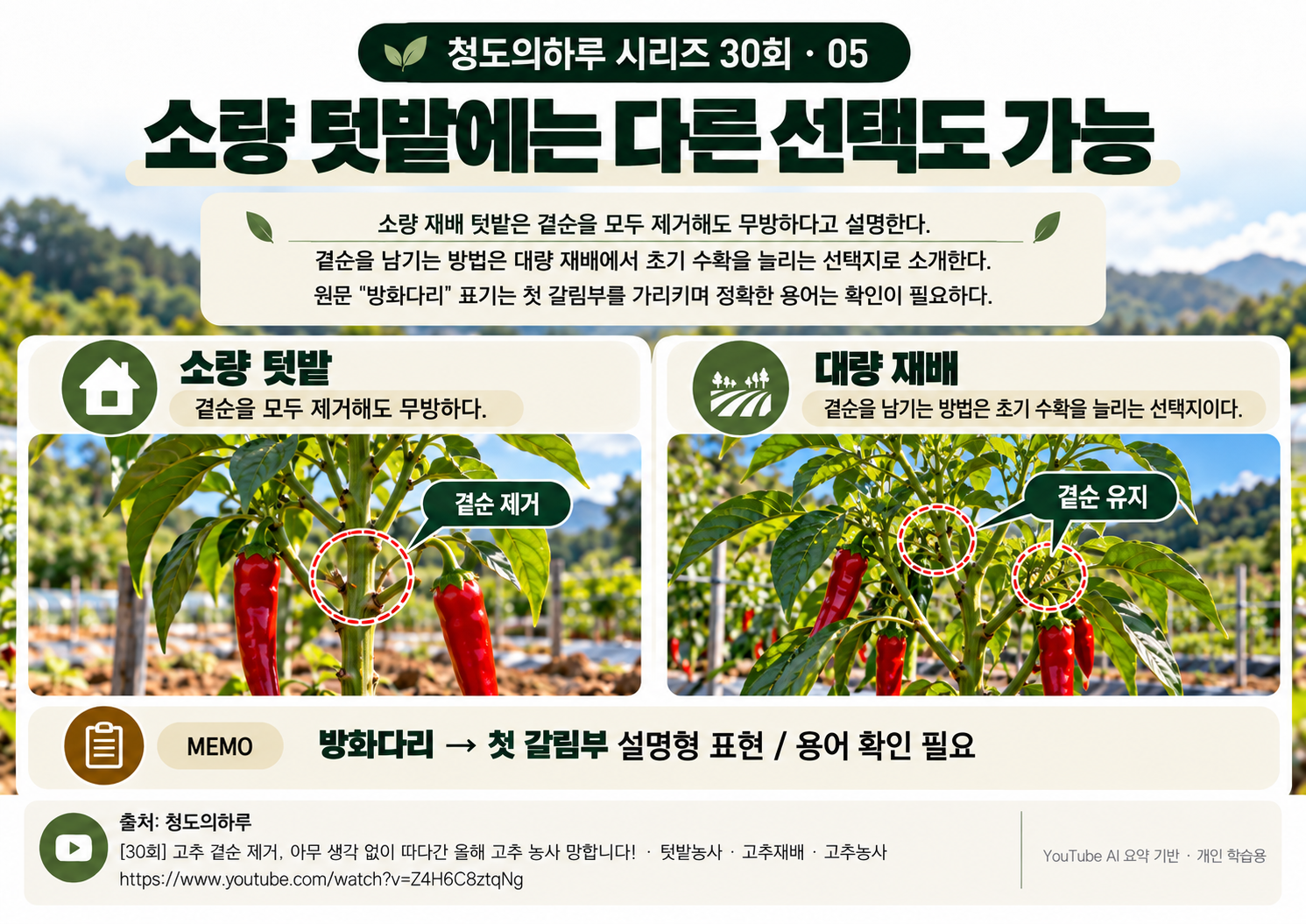 05_본문04.png