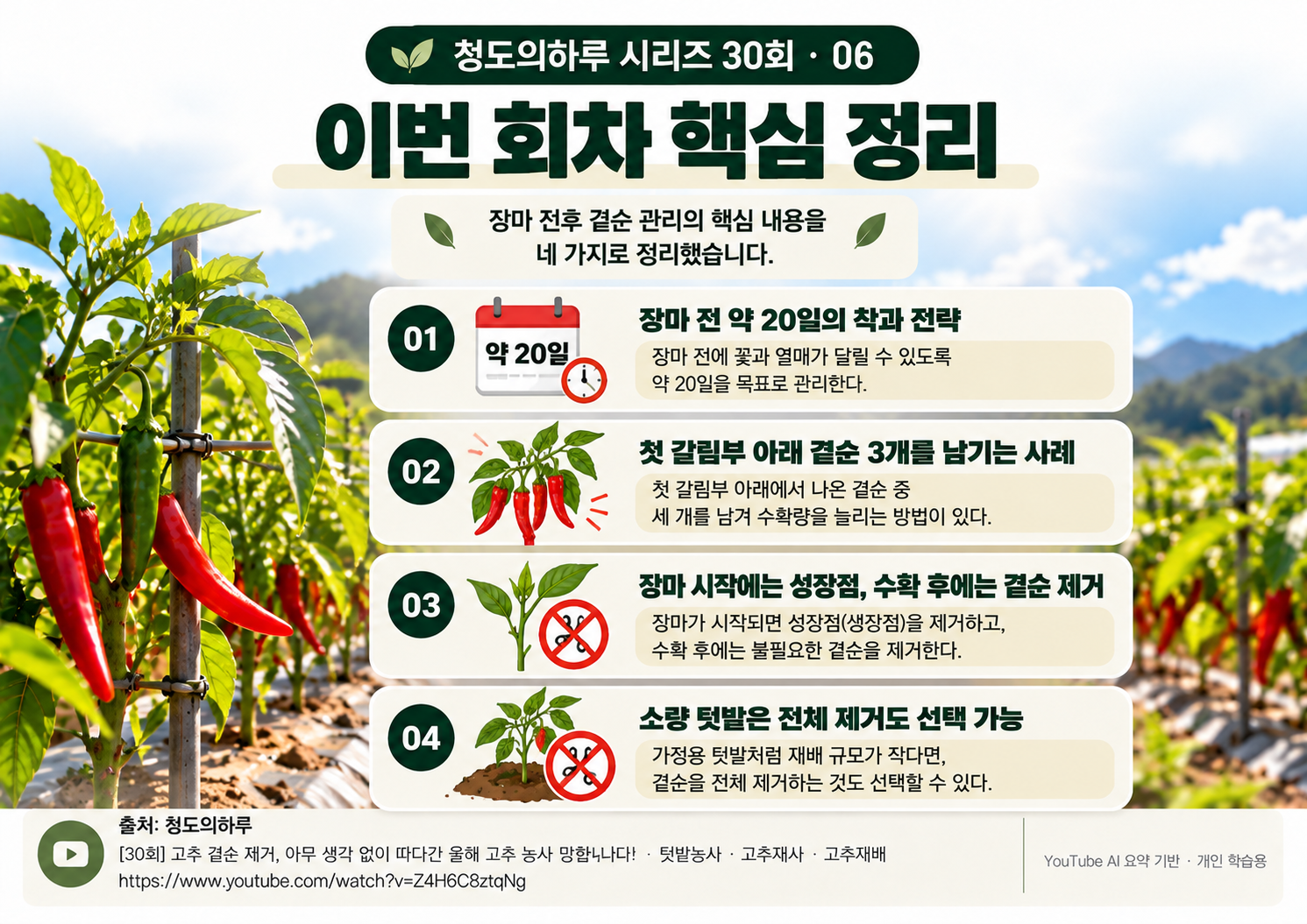 06_전체요약.png