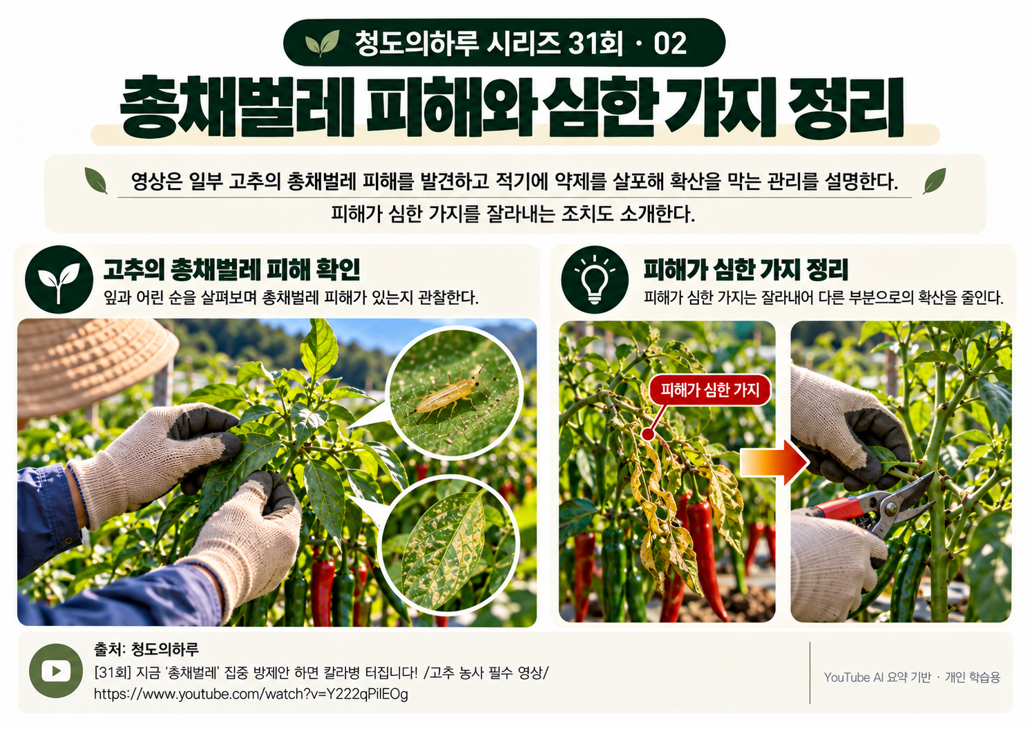 02_본문01.png