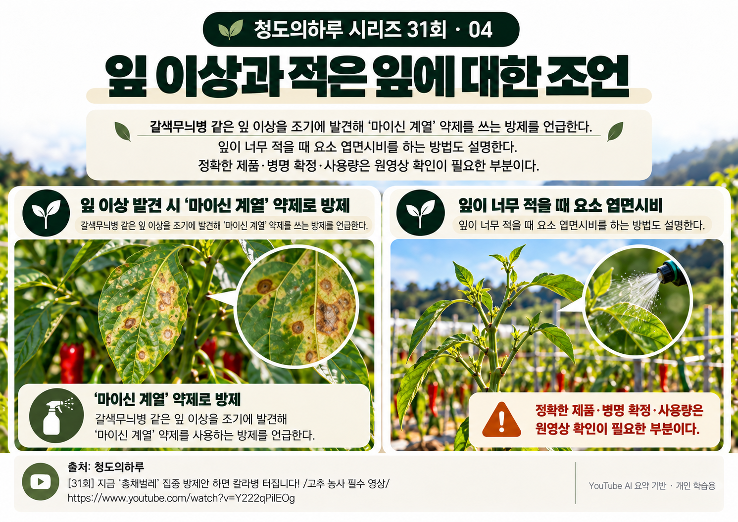 04_본문03.png