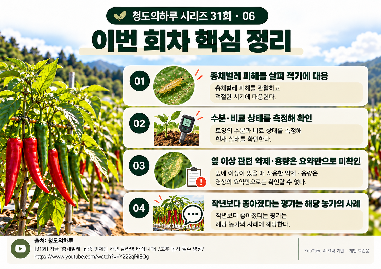 06_전체요약.png