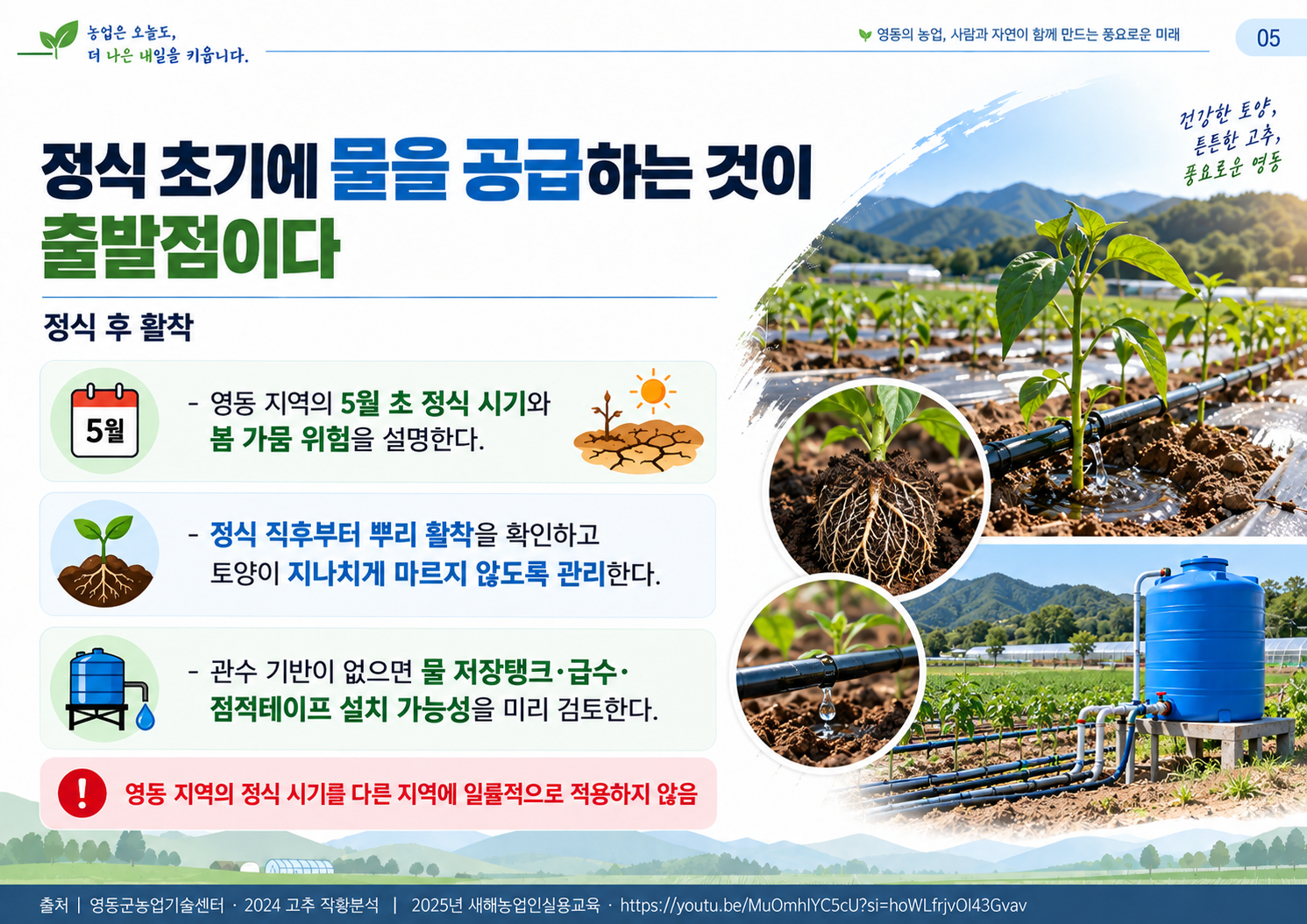 05_정식후_활착.png