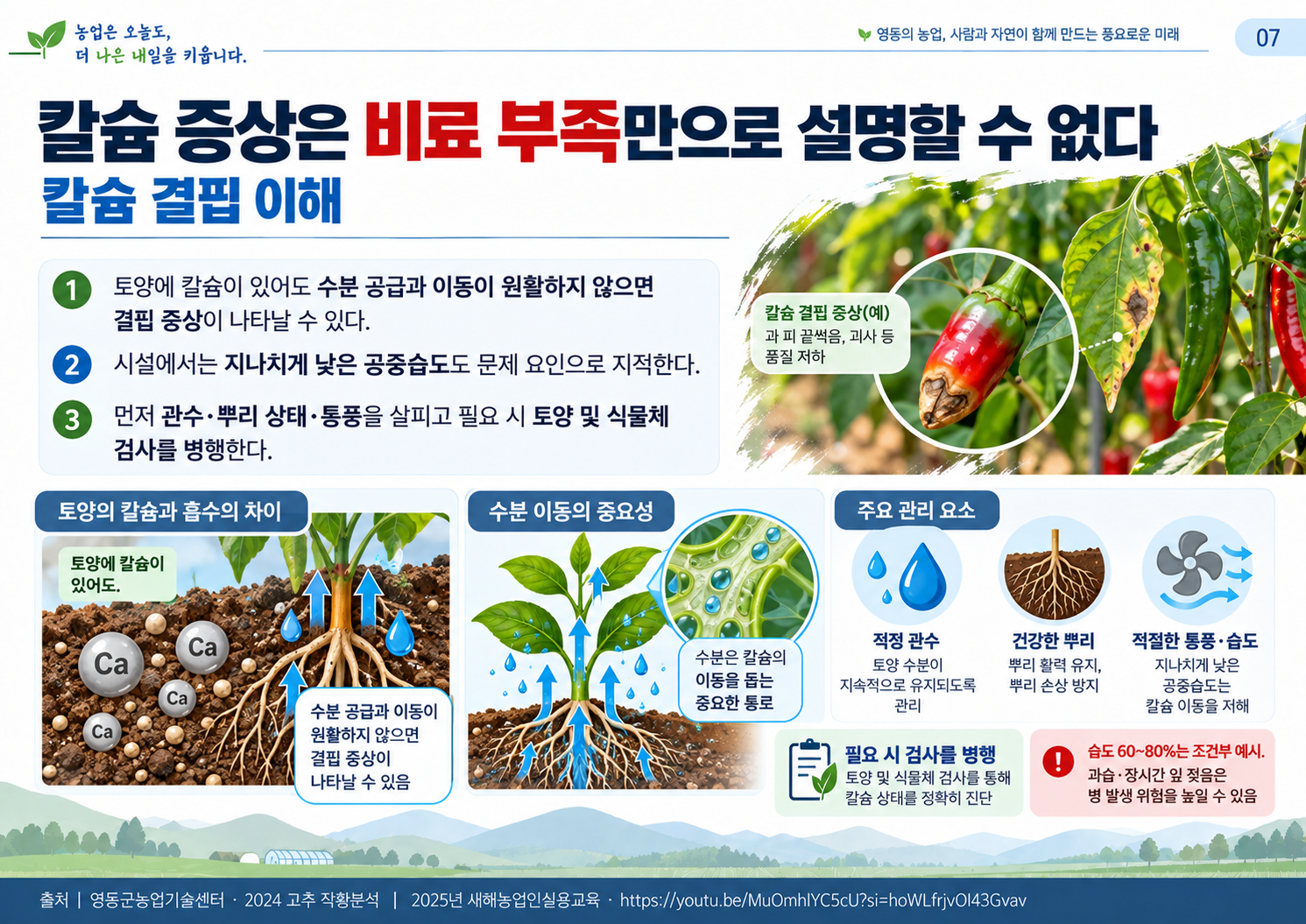 07_칼슘결핍이해.png