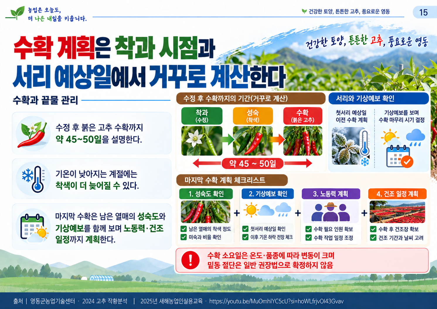 15_수확과_끝물관리.png