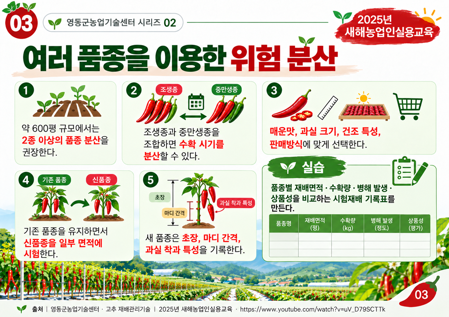 03_품종_위험_분산_수정.png