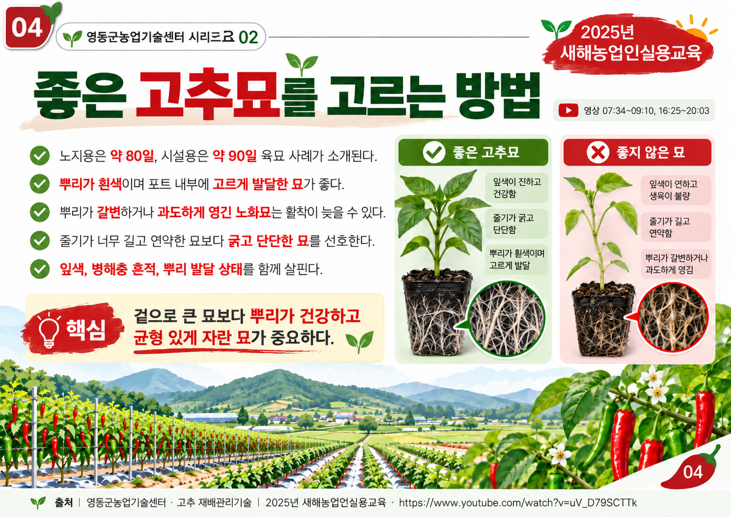 04_좋은_고추묘_선택.png