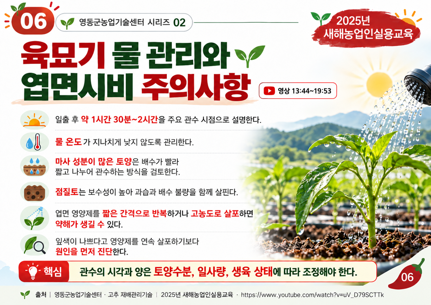 06_육묘_물관리와_엽면시비.png