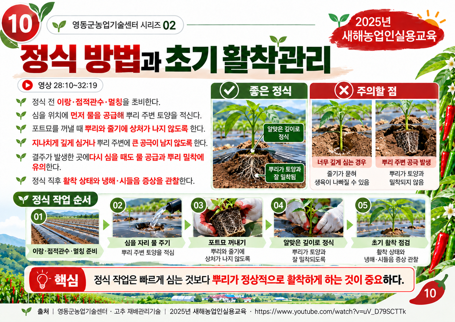 10_정식과_초기활착_수정.png