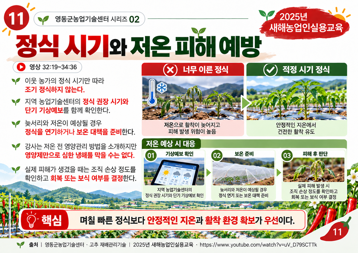 11_정식시기_저온피해.png
