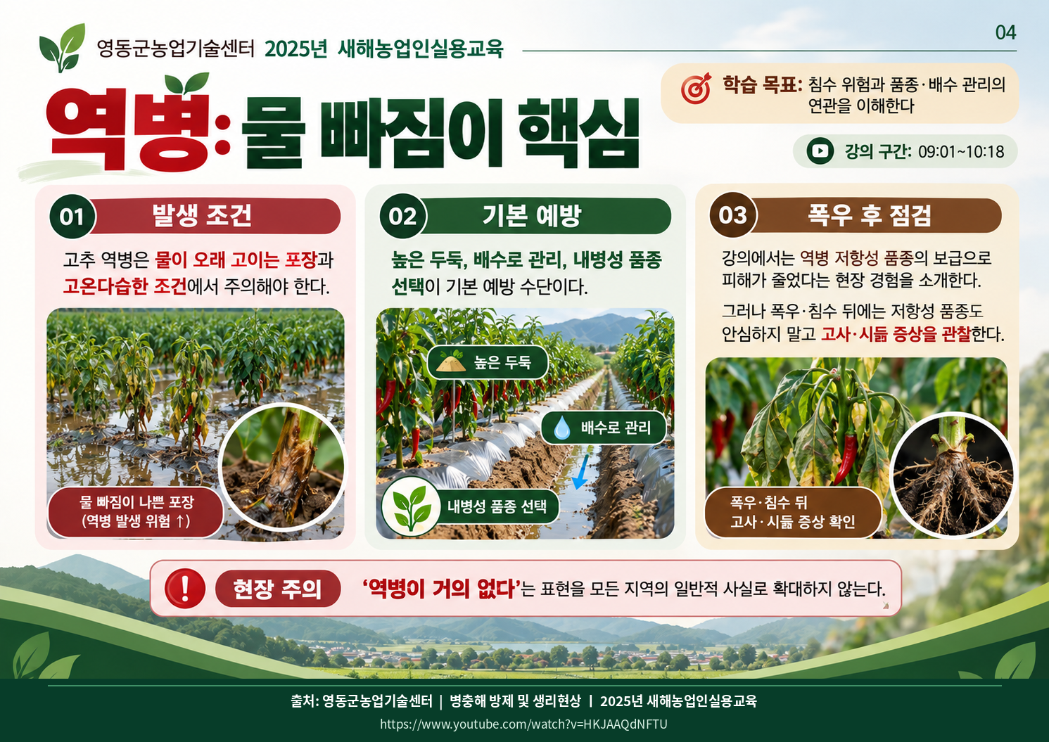 04_phytophthora_drainage.png