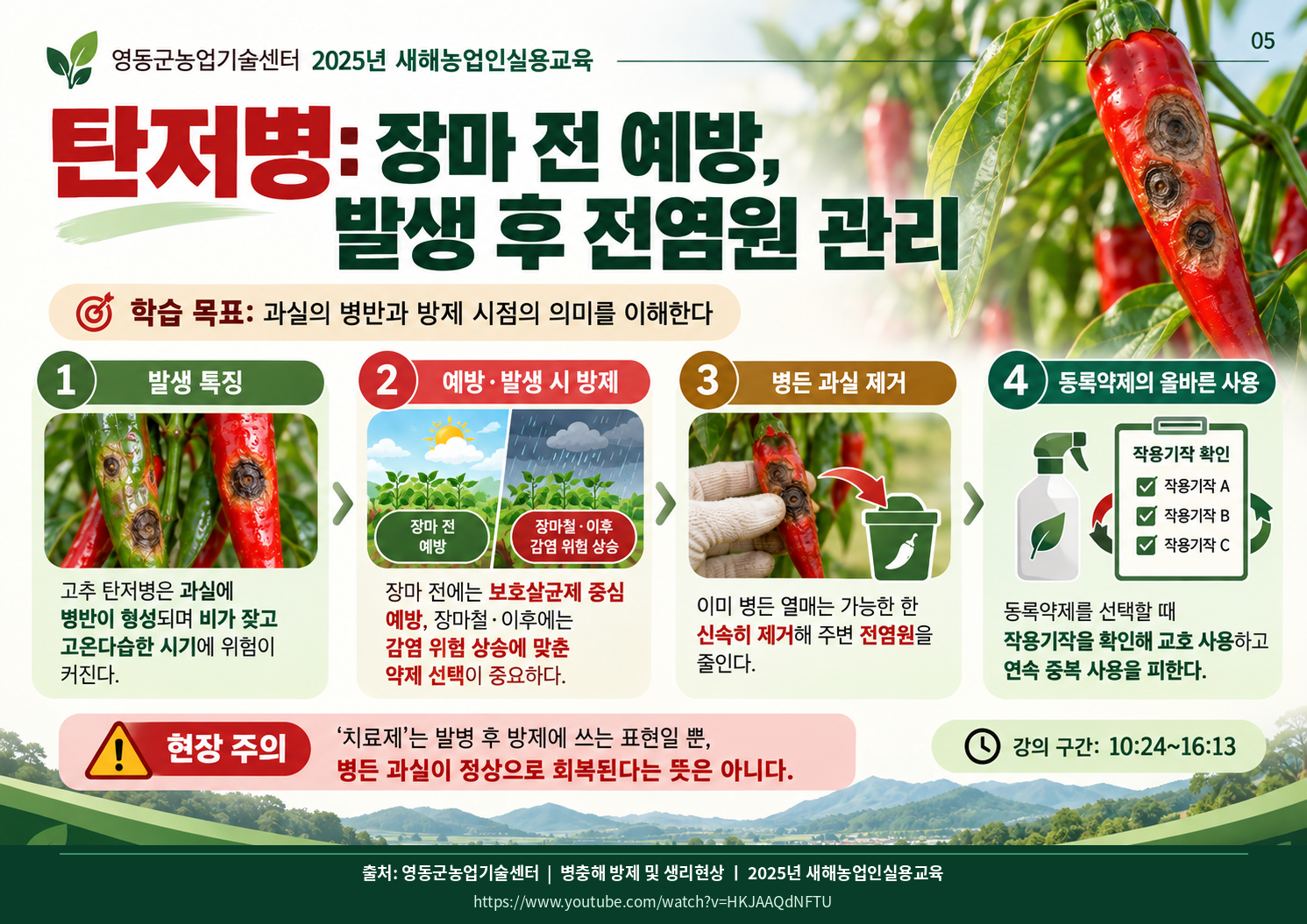 05_anthracnose.png