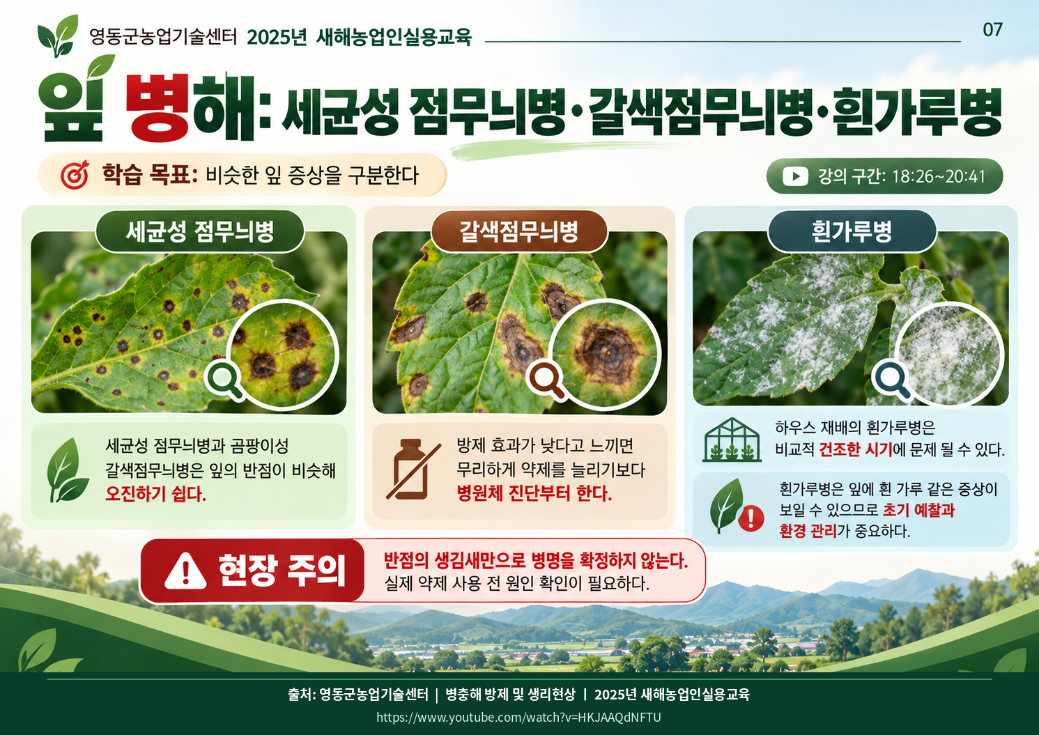 07_leaf_diseases.png