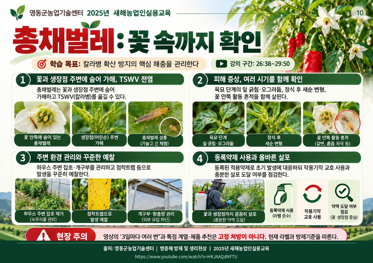 10_thrips.png