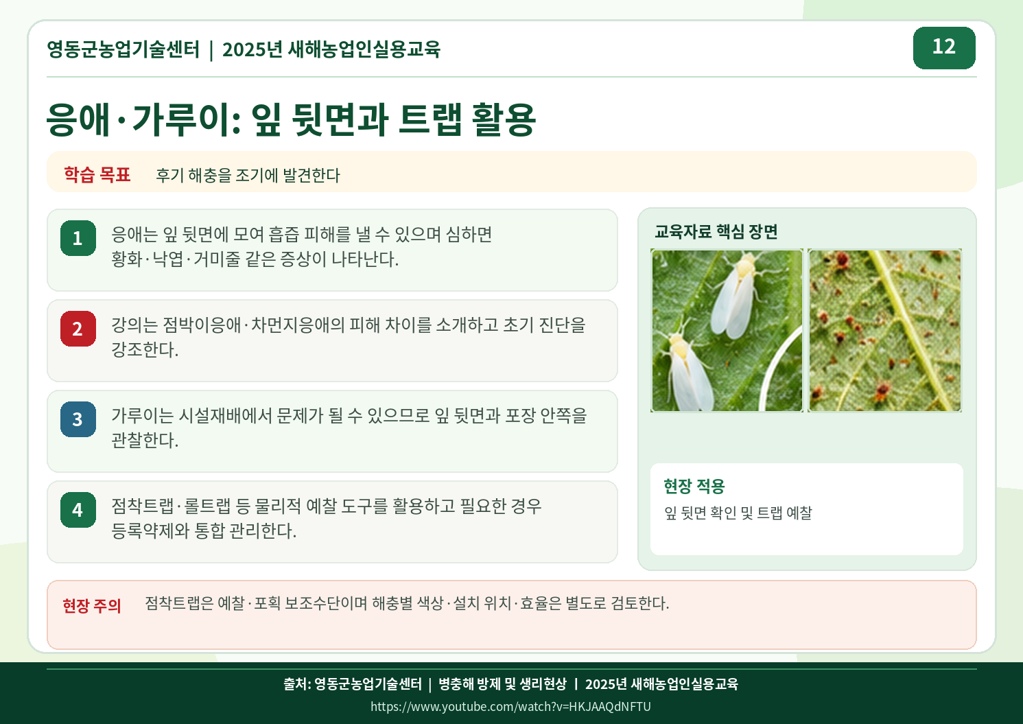 12_mites_whiteflies.png