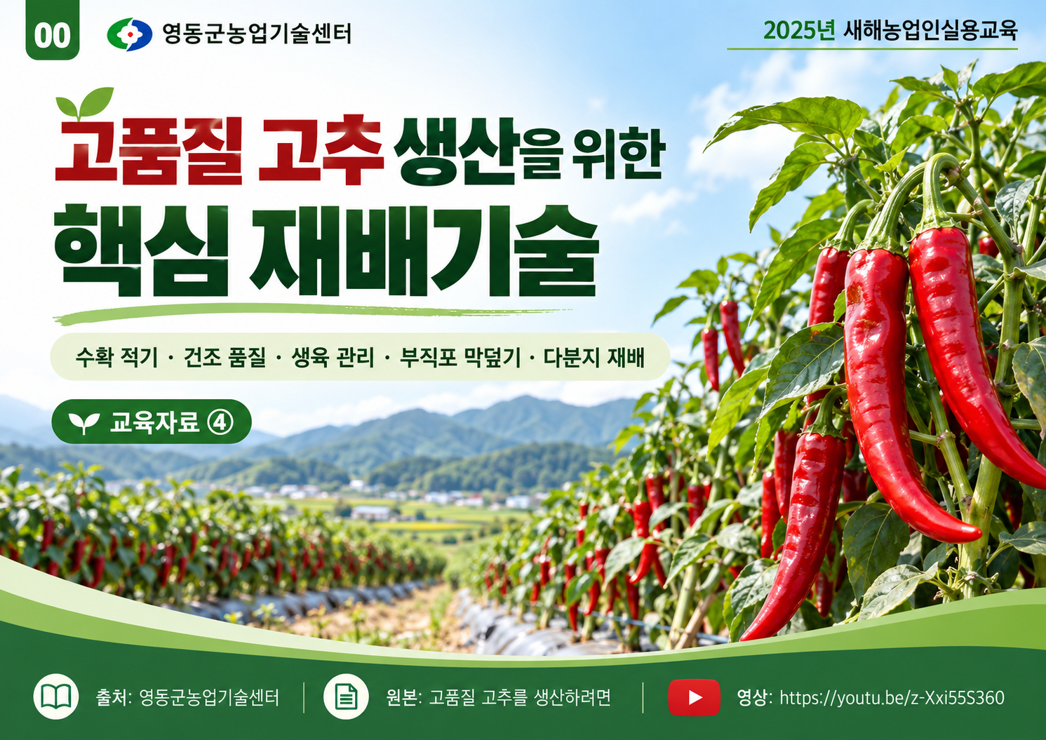 00_고품질_고추_핵심_재배기술_안내.png
