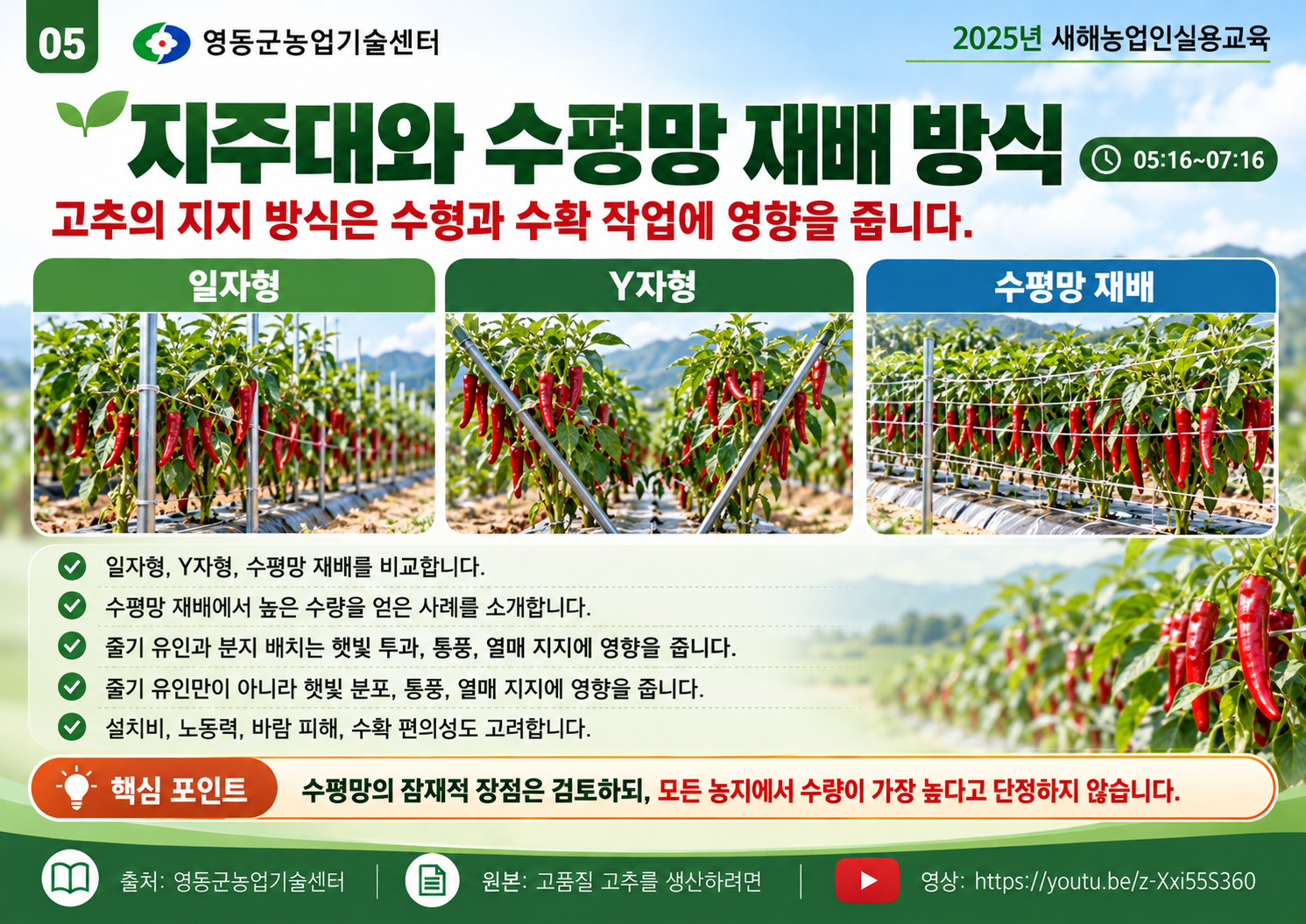 05_고추_지주대와_수평망_재배_비교.png