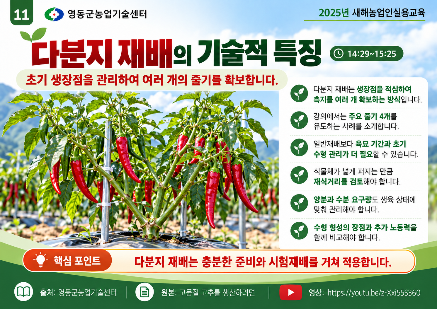 11_고추_다분지_재배의_핵심_기술.png
