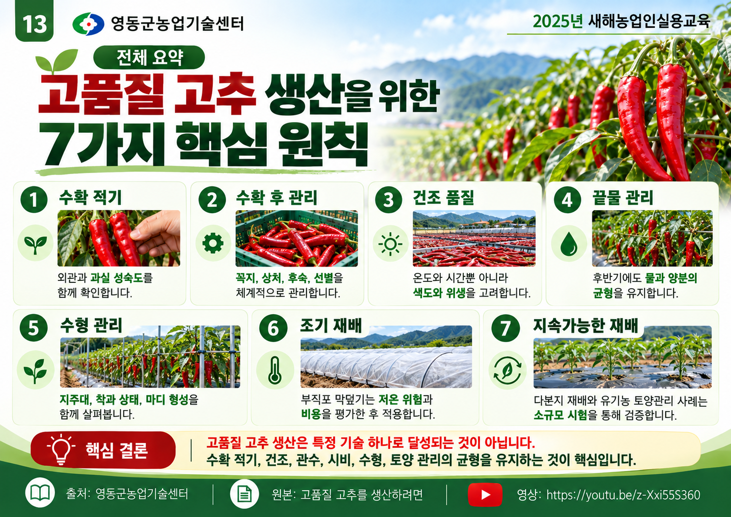 13_고품질_고추_생산_7가지_핵심_원칙.png