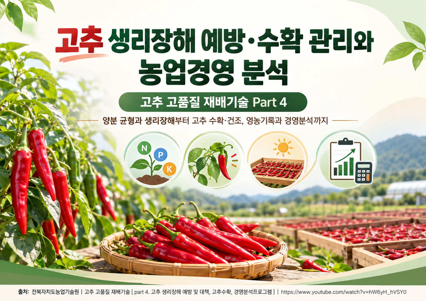 00_고추_생리장해_수확_경영분석_표지.png